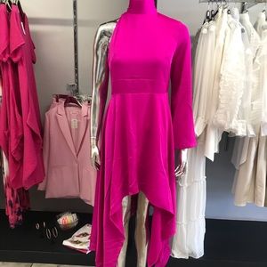 Fuschia Dress